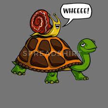 Snail on a turtle