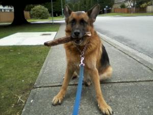 Max with stick