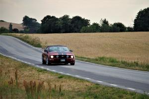 Mustang countryside