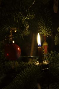 7D-Xmas_0004