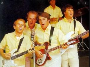 Beach Boys Carl Wilson Rickenbacker 360