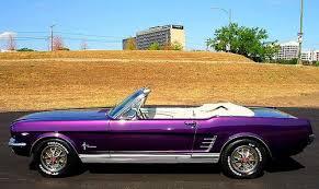 Purple mustang