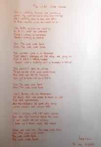 MLT Wide Wide Land lyrics2