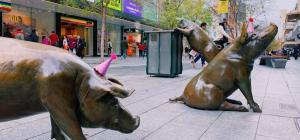 Rundle Mall pigs